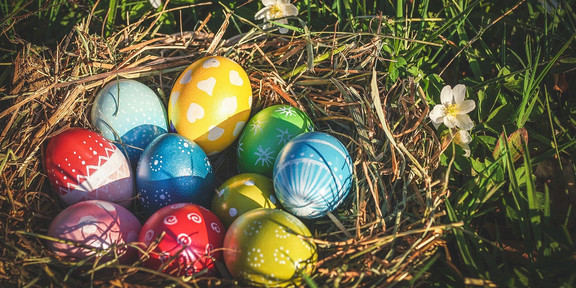 Nest mit 10 bunten Ostereiern, grüne Wiese & weiße Blumen im Hintergrund