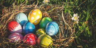 Nest mit 10 bunten Ostereiern, grüne Wiese & weiße Blumen im Hintergrund