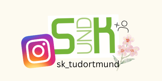 Instagram Logo und S&K Logo